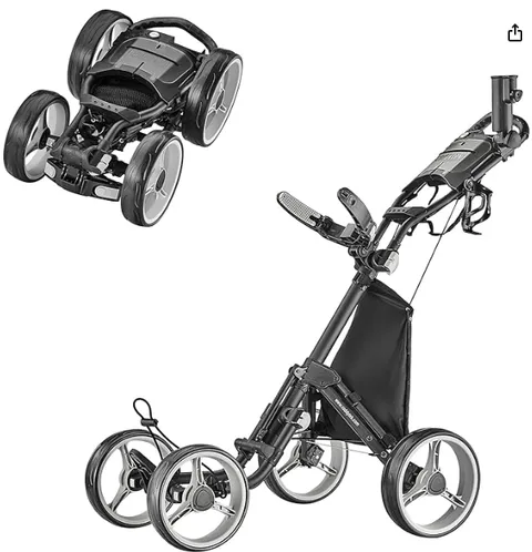 2 carros de golf